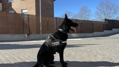 Un nuevo 'agente' para la policía de Majadahonda