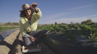 ¿En qué se diferencia una fresa de un fresón? Lo descubrimos en la huerta de Aranjuez