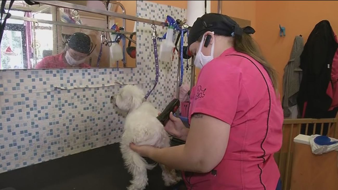 Los empresarios apoyan la Ley de Mercado abierto de la Comunidad que permitirá crear unos 50.000 empleos