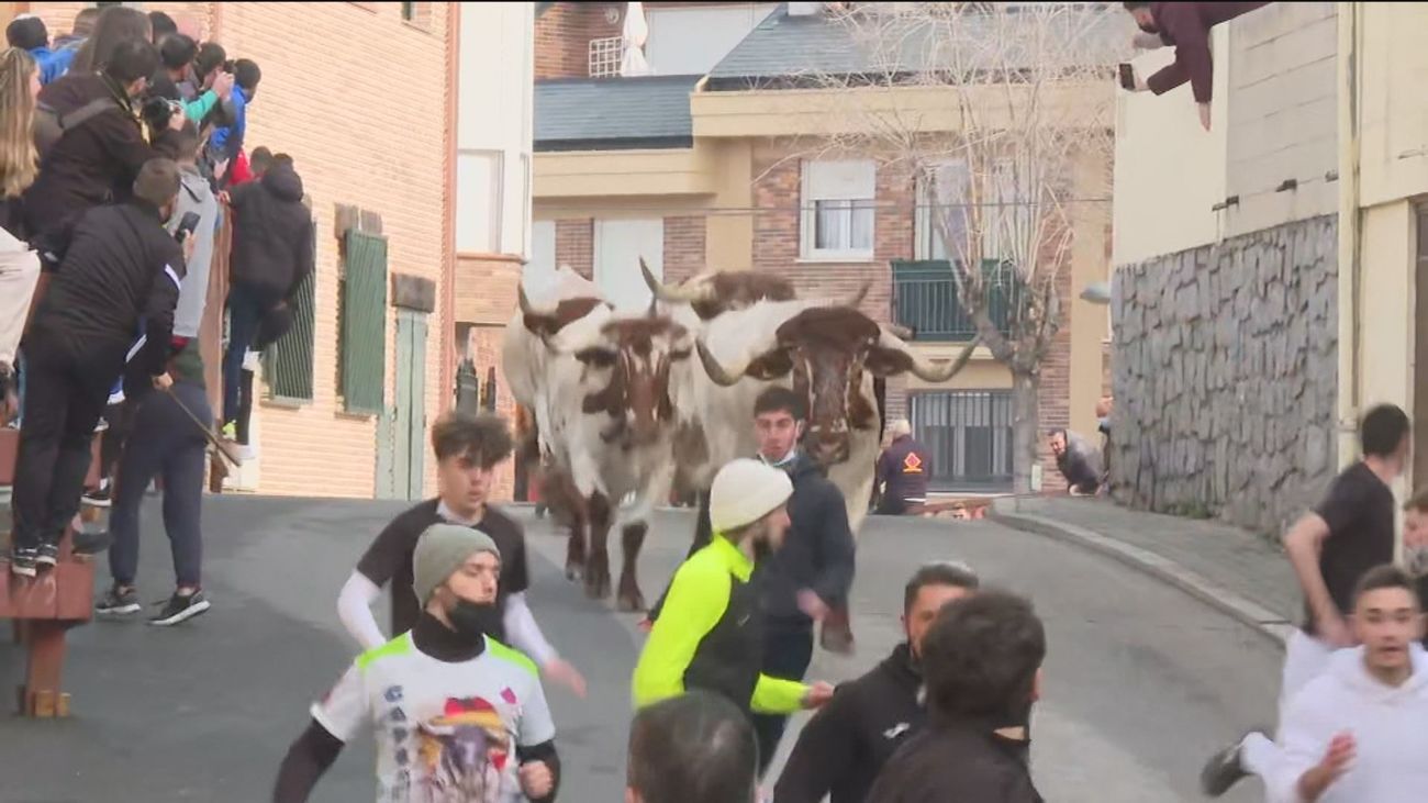 Los toros vuelven a correr por las calles de Valdemorillo