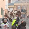 Los toros vuelven a correr por las calles de Valdemorillo