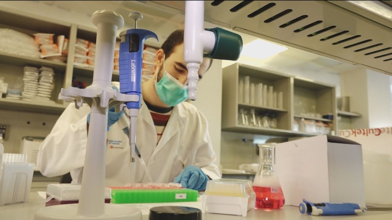 La Comunidad estrenará un plan de terapias avanzadas contra el cáncer antes del verano