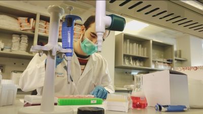 La Comunidad estrenará un plan de terapias avanzadas contra el cáncer antes del verano