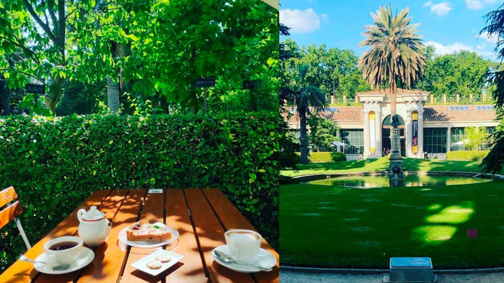 Terraza del Jardín Botánico / REDACCIÓN