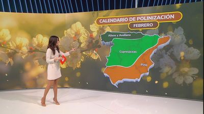 El mapa de las alergias más comunes en Madrid