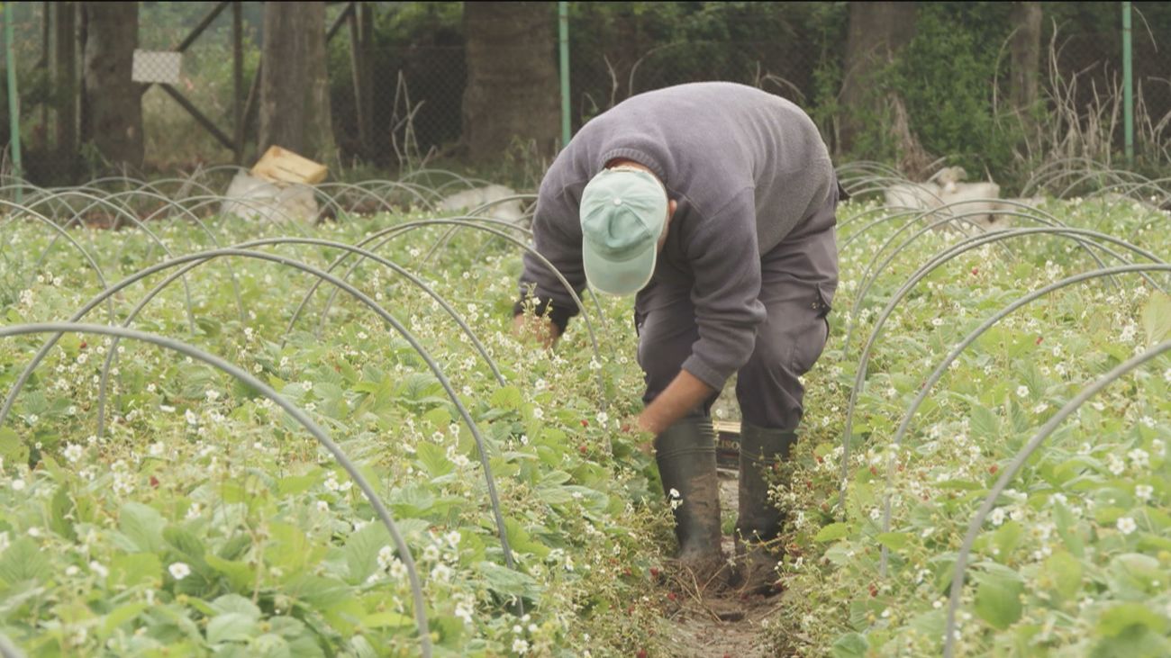 Las empresas se quejan del aumento de costes por la supresión de los contratos por obra