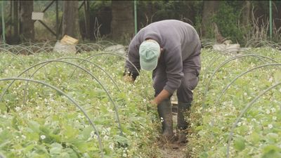 Las empresas se quejan del aumento de costes por la supresión de los contratos por obra