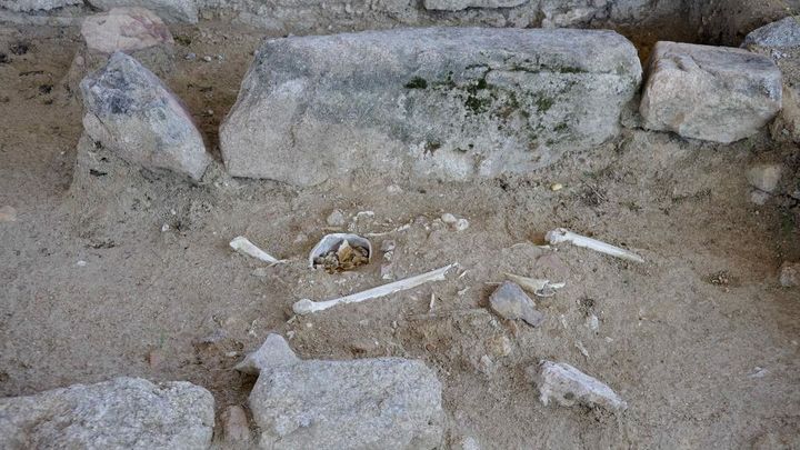 Restos humanos hallados en uno de los enterramientos de la necropólis / COMUNIDAD MADRID