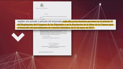 El Congreso debió confirmar el voto telemático del diputado Casero