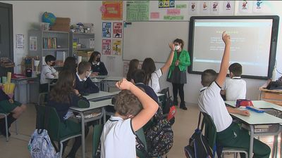 El acoso escolar se ha reducido a la mitad en los colegios de Madrid