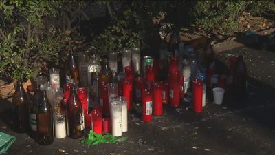 Lavapiés, Villaverde, Usera y Carabanchel, zonas con mayor actividad de bandas latinas