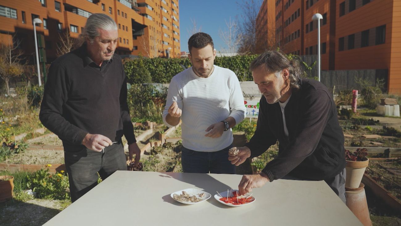El huerto de Chamartín donde cocinan con los hongos y las bacterias del compost