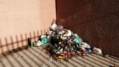 Asociaciones de vecinos recurren al Defensor del Pueblo para que el Ayuntamiento de Madrid limpie los espacios interbloque