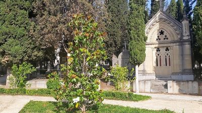 Un San Valentín de amor...y muerte en Madrid