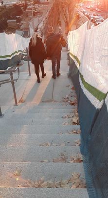 La escalera de acceso a Plaza de España / P.O.