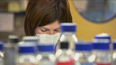 Se reduce la brecha de género y cada vez son más las mujeres que optan por careras científicas