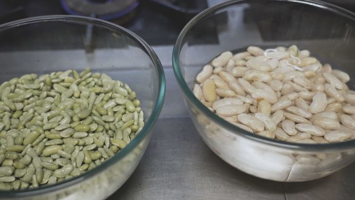 Verdinas (izquierda) y fabes (derecha) típicas de Asturias