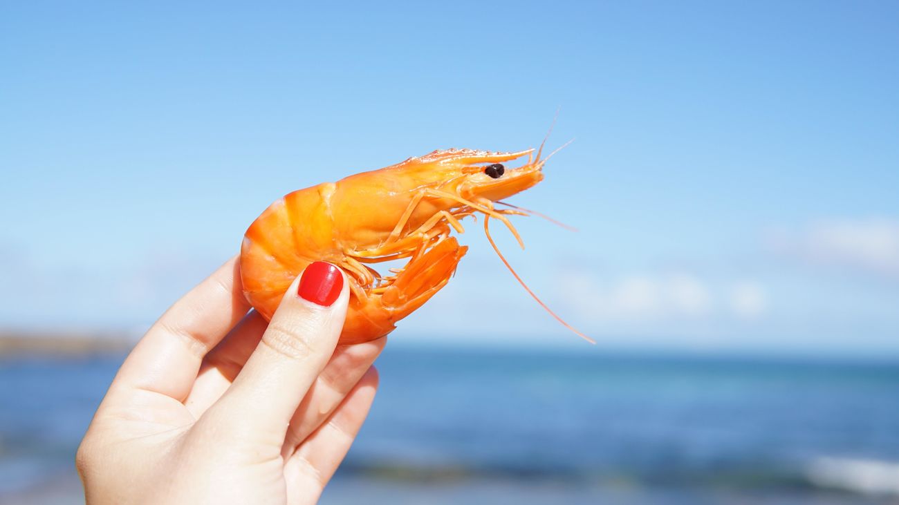 ¿Tan malo es para la salud chupar las cabezas de las gambas y los langostinos?