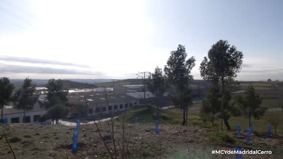 Olivos, campos de cereal y Cobo Calleja: la extraña mezcla que convive en el Cerro de la Cantueña