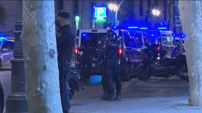 La reforma de la ley de Seguridad Ciudadana del Gobierno "refuerza" a las bandas latinas, según sindicatos policiales