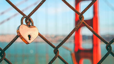 ¿Por qué lo llaman amor cuando quieren decir... química?