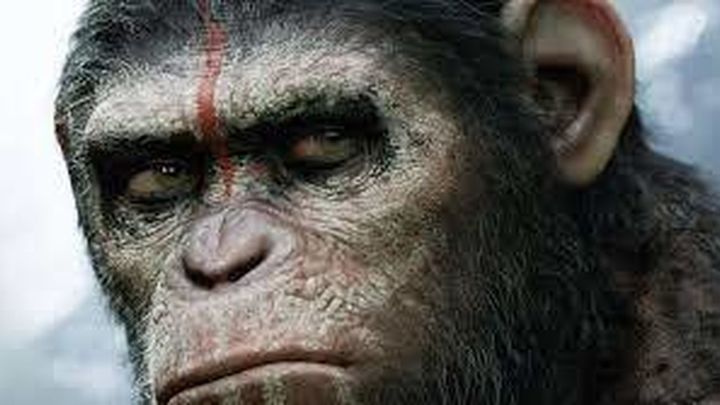 'Amanecer del Planeta de los Simios', 2014 / 20th Century Studios