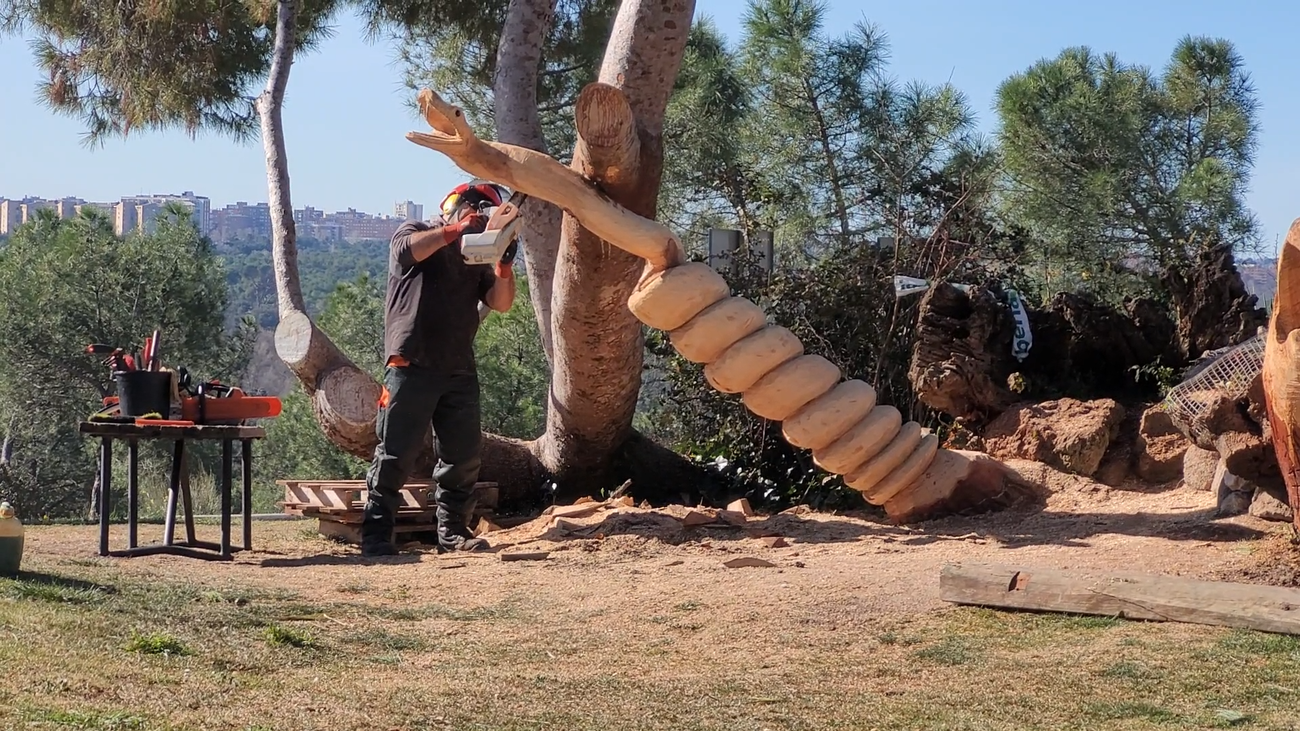 Convertir los restos de Filomena en piezas de arte