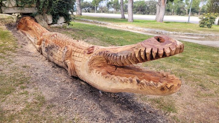 Cocodrilo tallado en un árbol derribado / PABLO PÉREZ JIMÉNEZ