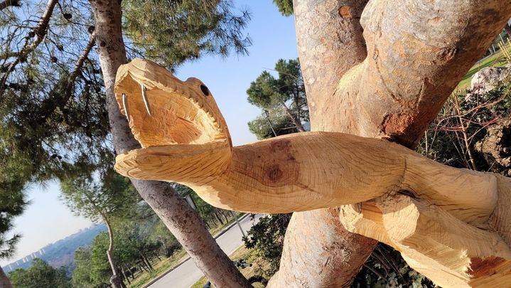 Una enorme serpiente en la Casa de Campo / PABLO PÉREZ JIMÉNEZ