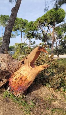 Una rapaz surge del suelo en la Casa de Campo / PABLO PÉREZ JIMÉNEZ