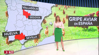 Primer caso de gripe aviar en Madrid, detectado en Pedrezuela