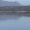 Sigue descendiendo el nivel de los embalses madrileños
