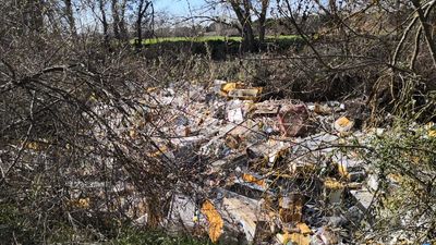 El río Guadarrama vuelve a ser una cloaca flotante en pleno Parque Regional