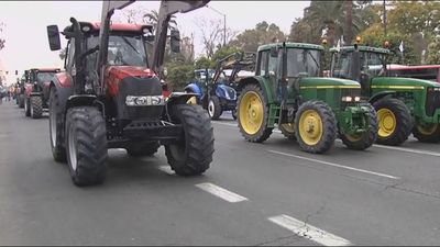 Los agricultores toman Sevilla  y Valencia con una tractorada en protesta por los bajos precios y para pedir medidas urgentes