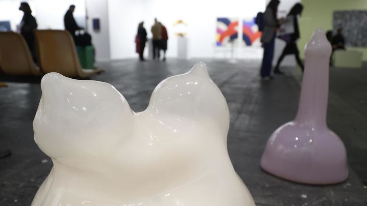 Vista de la serie de obras 'Sheddings' de la artista Eva Fábregas, cuya serie ha sido adquirida parcialmente por parte del Ministerio de Cultura y Deporte / EFE