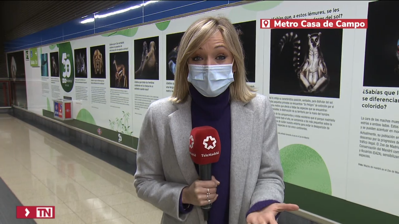 Animales en extinción 'estrenan hábitat' en la estación de Metro de Casa de Campo