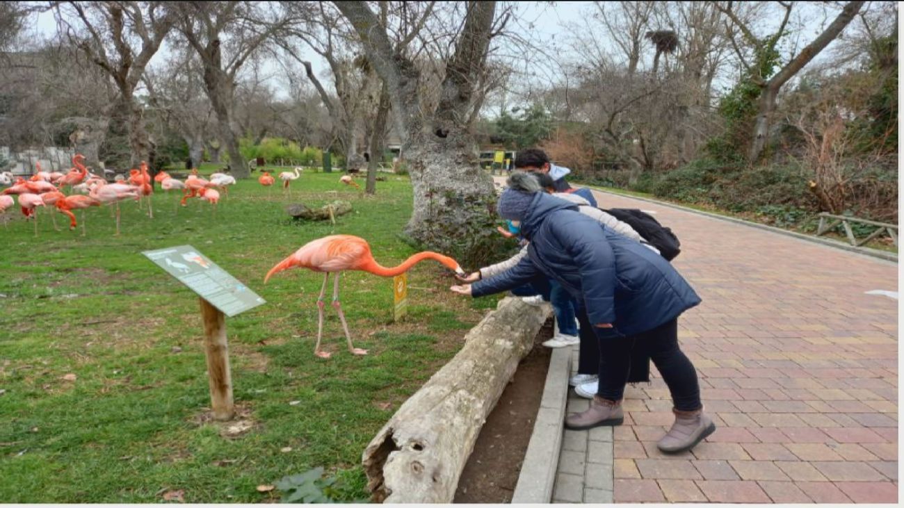 Un corredor humanitario para traer niños de acogida desde Ucrania hasta España