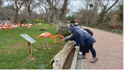 Un corredor humanitario para traer niños de acogida desde Ucrania hasta España