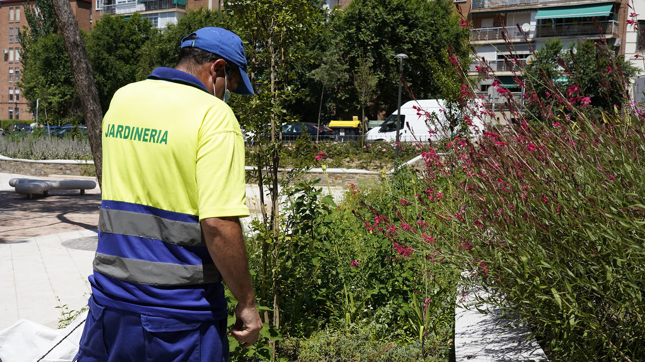Jardinero del Ayuntamiento de Móstoles