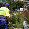 Móstoles invertirá más de 26 millones en los próximos 4 años en el mantenimiento de zonas verdes