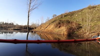 Una barrera flotante para impedir la invasión de una planta en Pozuelo