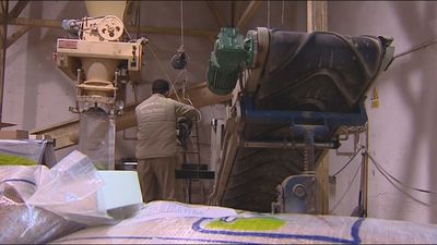 Panadería, pastas, cerveza, espirituosos o piensos, los más afectados por la reducción de cereales de Rusia y Ucrania