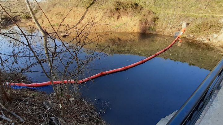 Vista desde la presa del sistema instalado para contener la planta invasora / P.O.