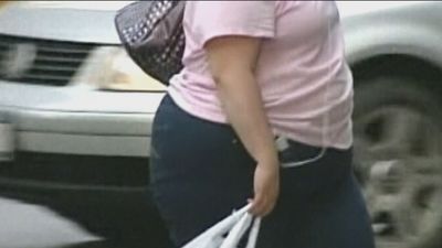 Uno de cada diez españoles es obeso, una enfermedad que es ya una epidemia mundial según advierte la OMS