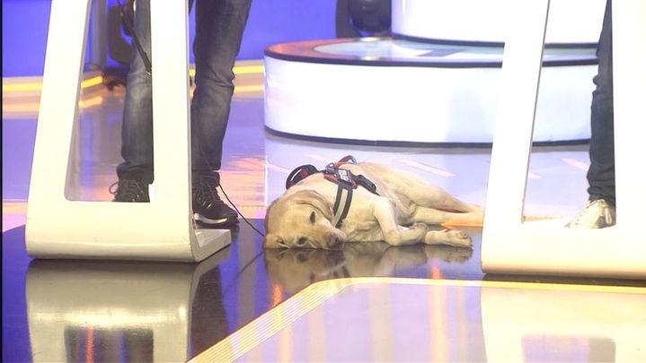 ATRÁPAME SI PUEDES CELEBRITY  CAP 14_72671 / Telemadrid