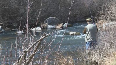 Los madrileños ya pueden hacer pesca deportiva en la región