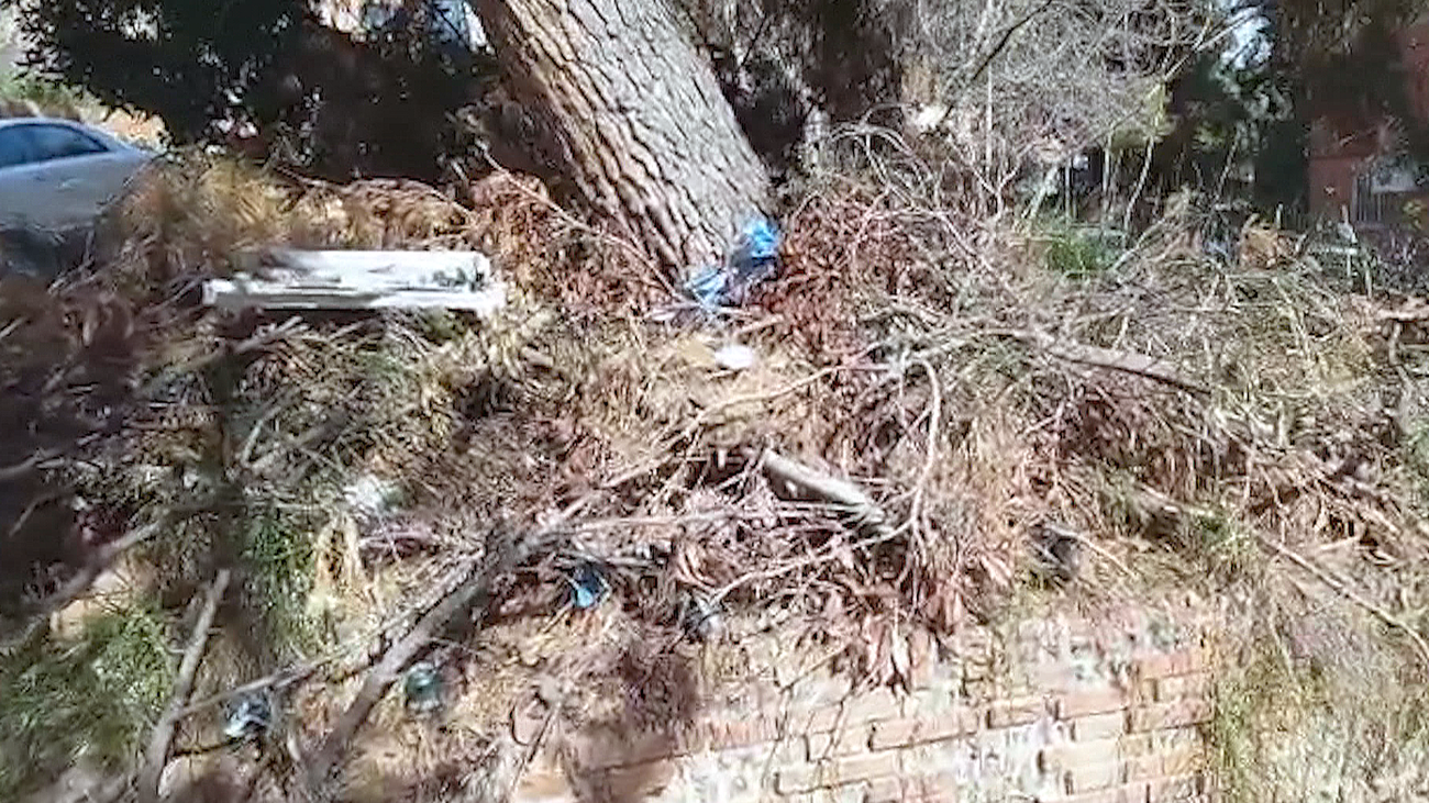 Vecinos de Carabanchel denuncian: "Veo ratas, plagas de chinches y cucarachas en mi bloque"