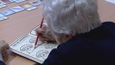 Un rayo de esperanza para vencer al Alzhéimer: la proteína 'LRP3'