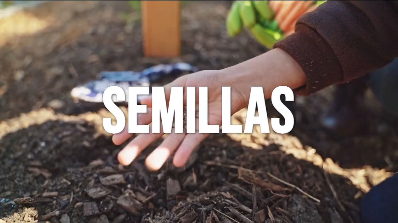 El ‘Arca de Noe’ de las semillas