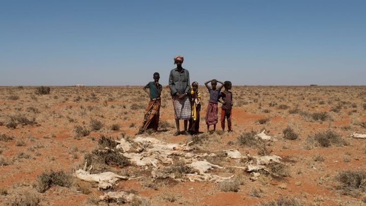 Ahmed, un pastor nómada de Somalia, perdió 60 de sus cabras debido a la sequía severa / IOM SOMALIA